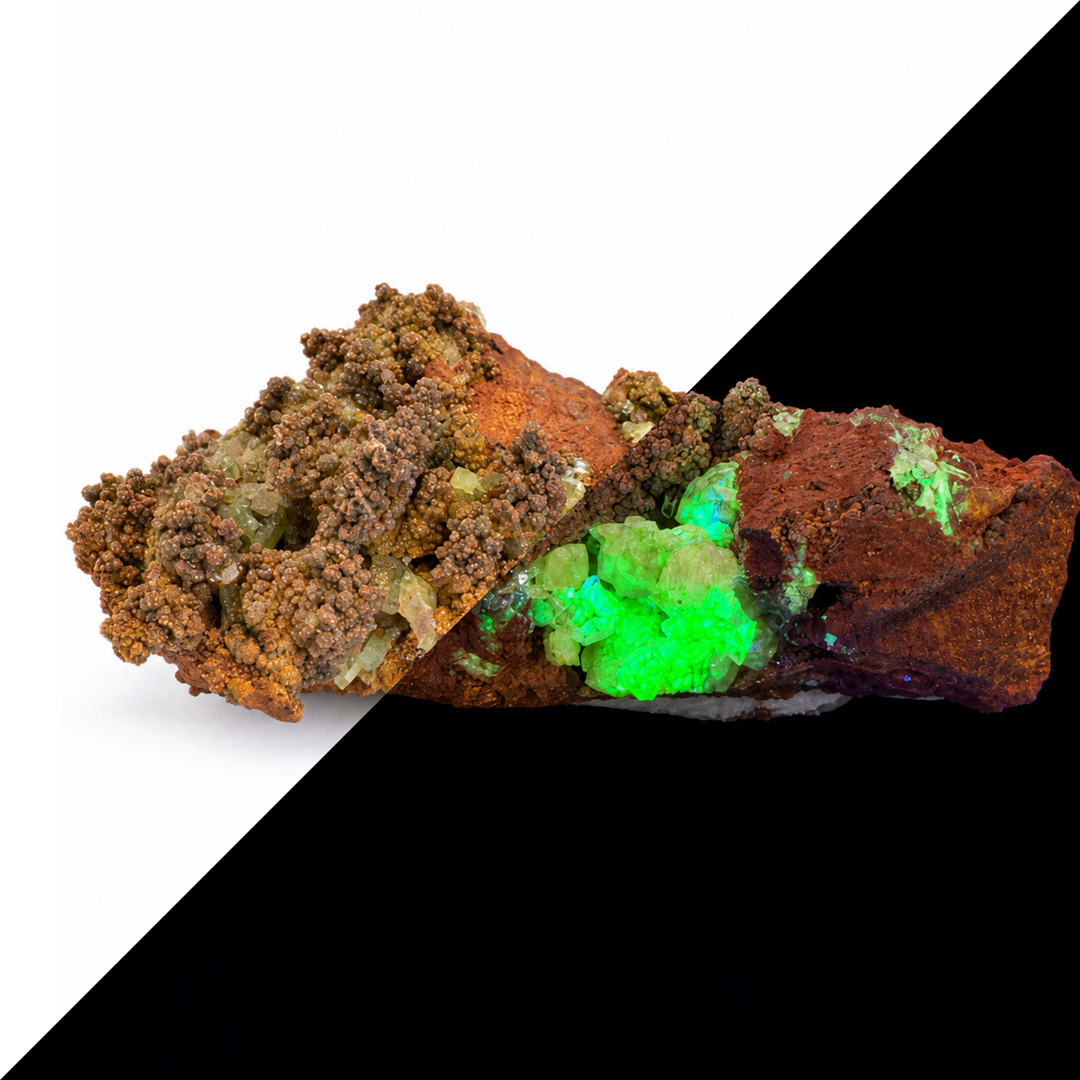 GeoFossils Adamite specimen 185 shown in a split comparison, with natural daylight on one half and green fluorescence under Mid Wave UV on the other.