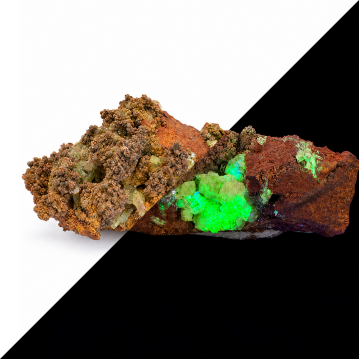 GeoFossils Adamite specimen 185 shown in a split comparison, with natural daylight on one half and green fluorescence under Mid Wave UV on the other.