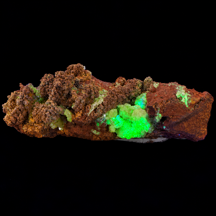 GeoFossils Adamite specimen 185 under Mid Wave UV, showing concentrated green fluorescence among crystals near the centre-right.