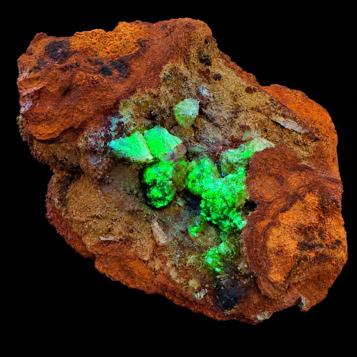 GeoFossils Adamite specimen 186 under Mid Wave UV, displaying bright green fluorescence across several central crystal clusters.