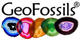 GeoFossils