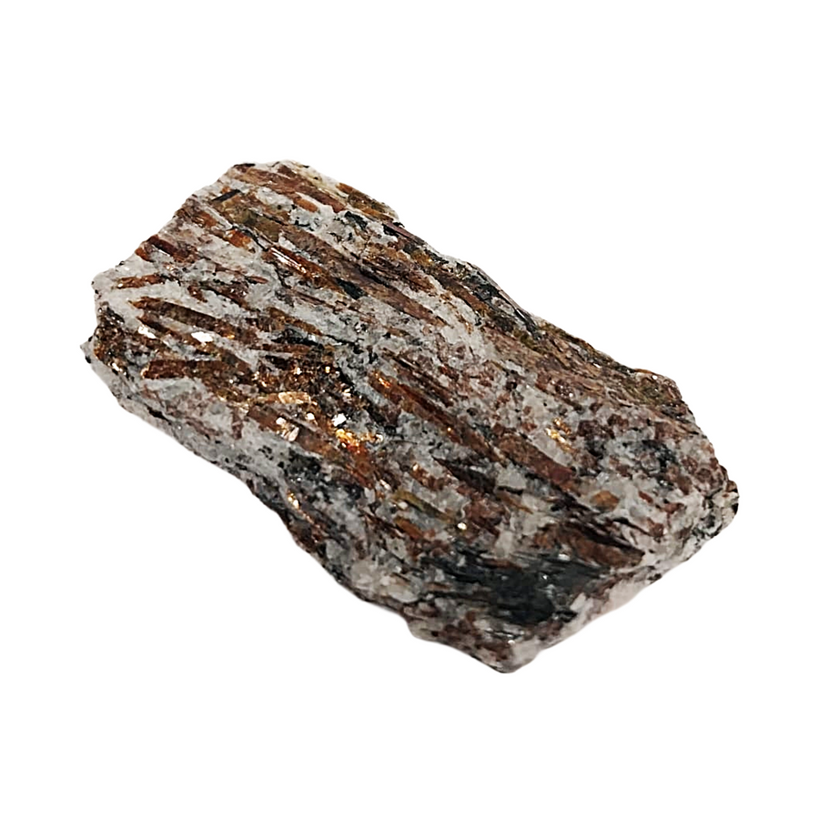Astrophyllite mineral specimen with golden starburst crystals in dark matrix from Kola Peninsula Russia