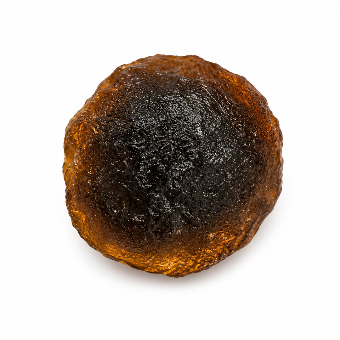 Collector-grade Australite on a white background.