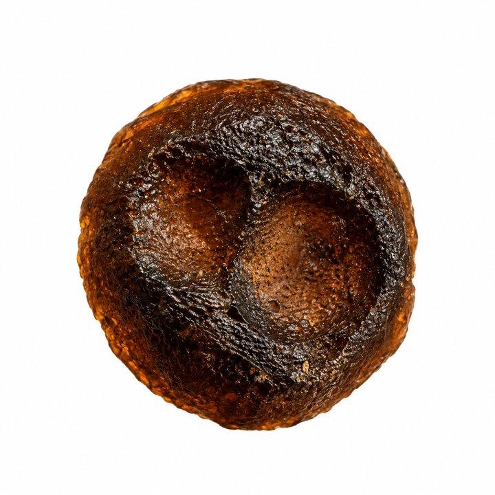 Australite specimen from the Australasian Strewn Field.