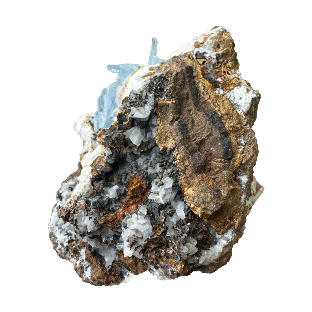 Unique collector-grade blue Baryte mineral display piece featuring translucent crystal blades within natural geological cavity.