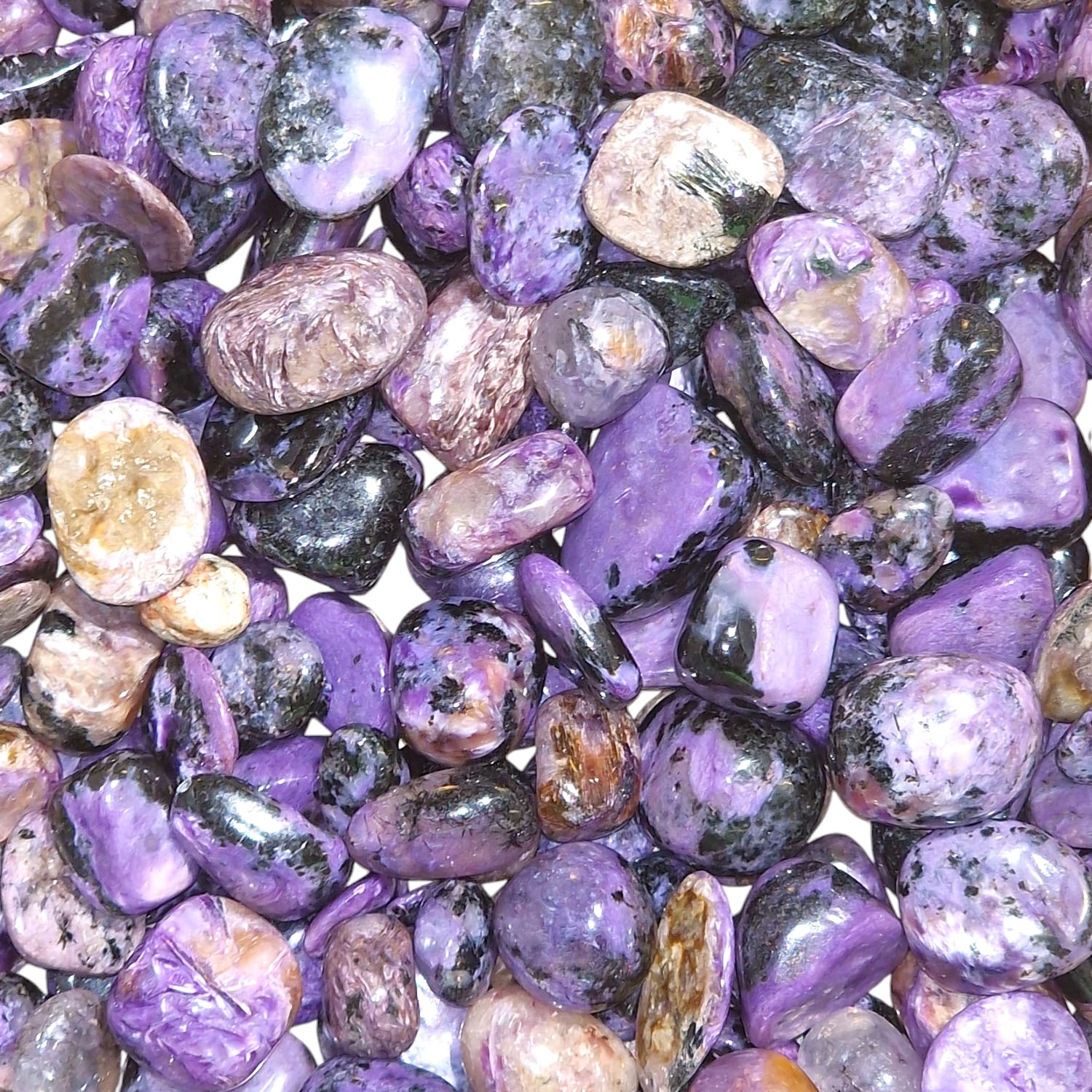 GeoFossils Charoite Mini Gem Chip Purple