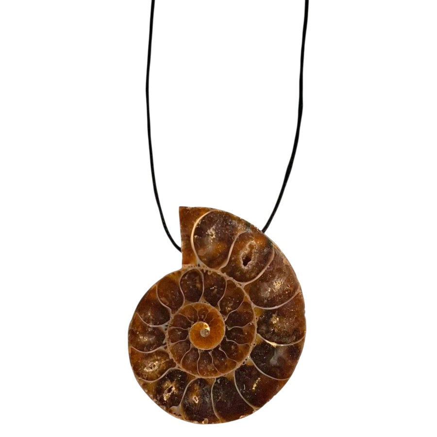 Cleoniceras Ammonite drilled tumble stone pendant on a black cord – fossilised spiral crystal for grounding, transformation and ancient energy