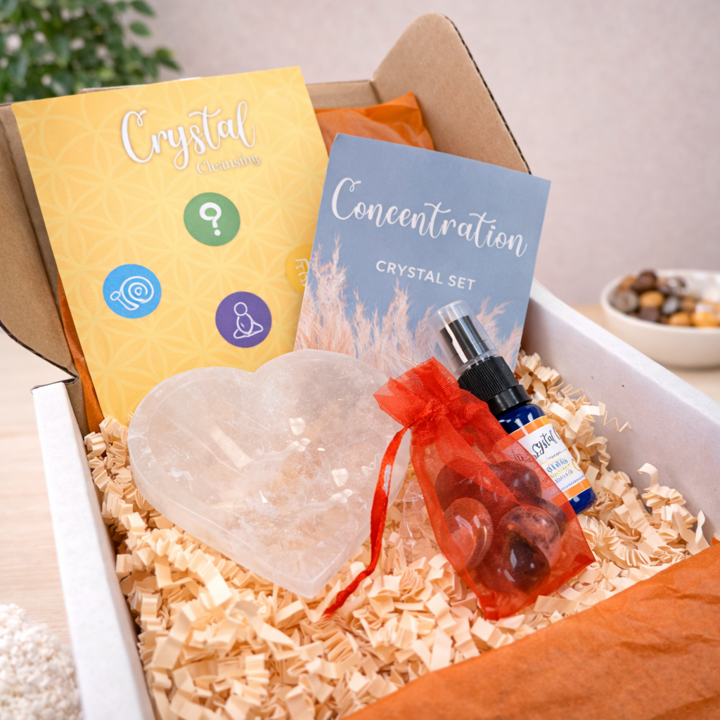 GeoFossils_Concentration_Set_2