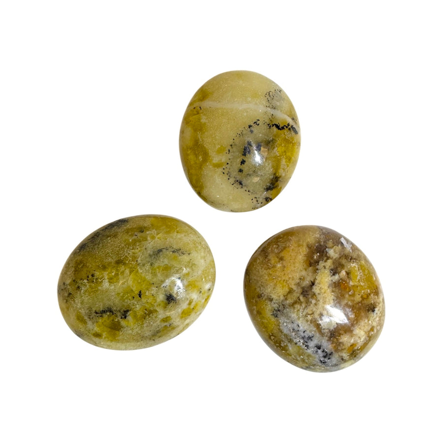 GeoFossils Dendritic Opal Galets – Madagascan crystal palm stone with fern-like inclusions for grounding, growth, and emotional balance, polished in the UK.