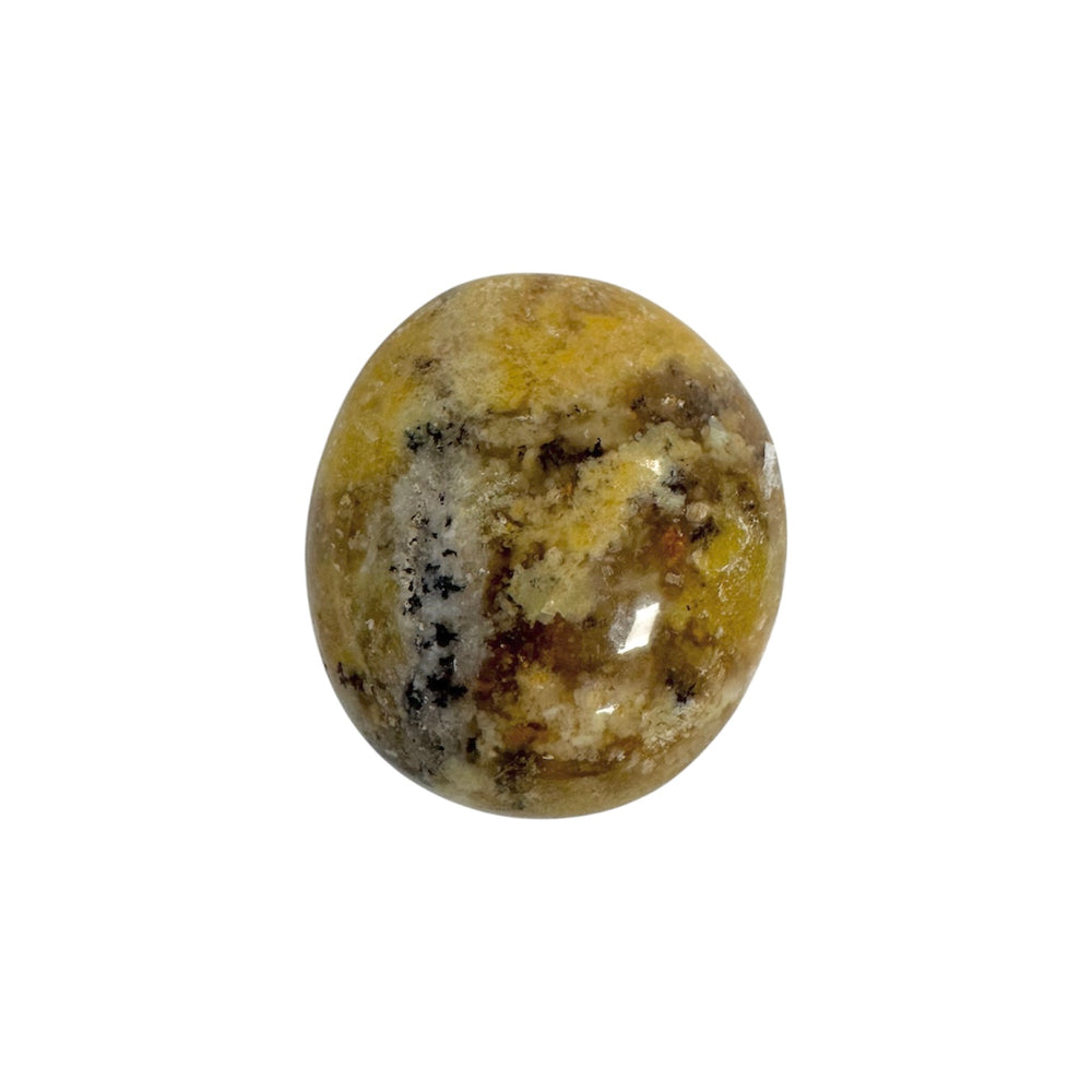 GeoFossils Dendritic Opal Galet – Madagascan crystal palm stone with fern-like inclusions for grounding, growth, and emotional balance, polished in the UK.