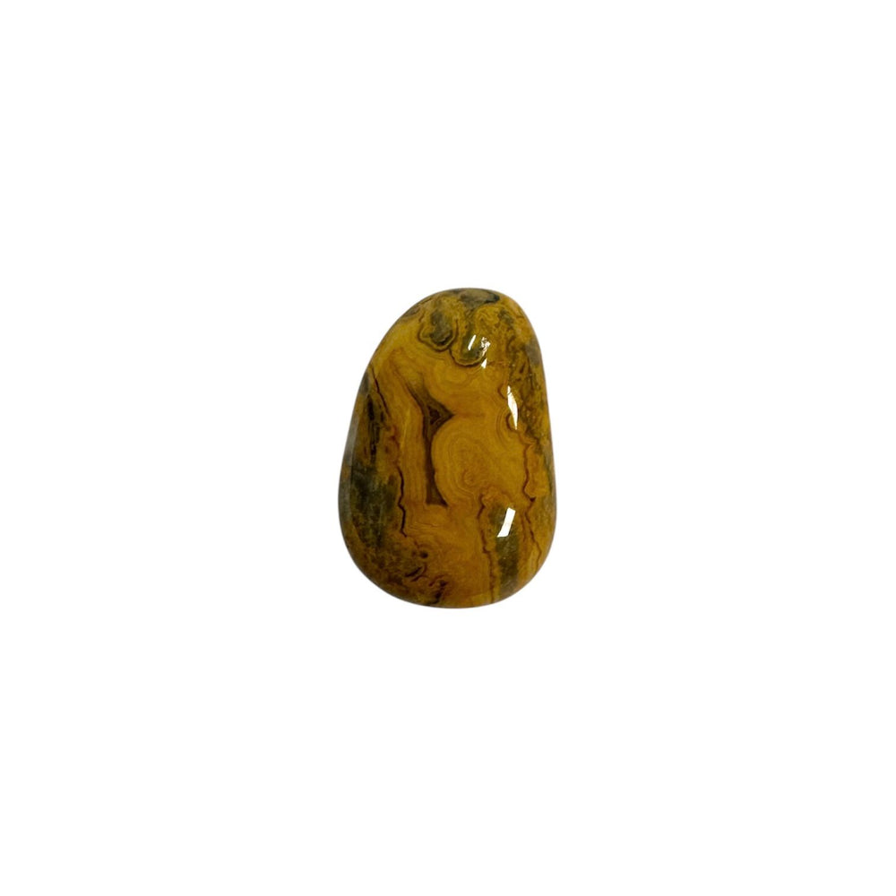 GeoFossils Drilled Crazy Lace Agate – crystal bead for spiritual energy and design