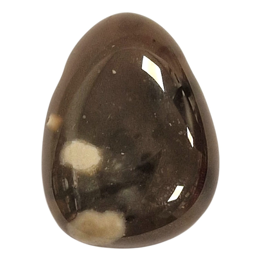 Drilled Black Flint tumble stone featuring smooth dark grey to black surface with occasional lighter streaks or inclusions.