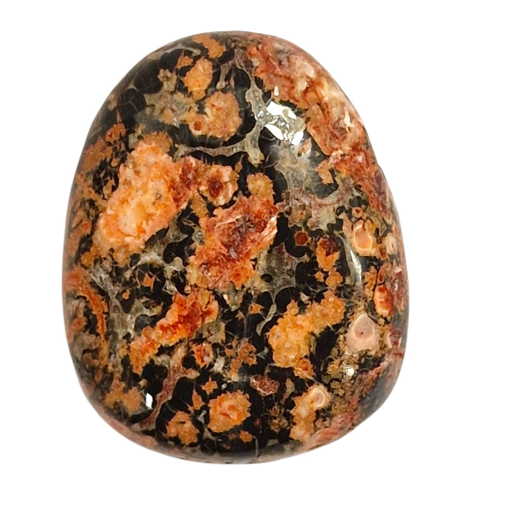 GeoFossils Leopardskin Jasper – shamanic Root Chakra crystal drilled for energy tools