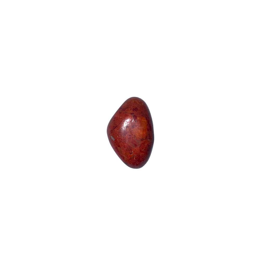 GeoFossils Polished Red Coral Drilled Pendant – bold red gemstone ready for jewellery making