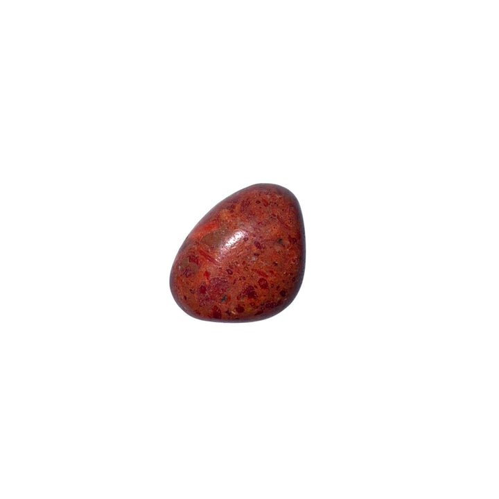 GeoFossils Red Coral Horizontal Drill Pendant – Root Chakra support and emotional strength stone