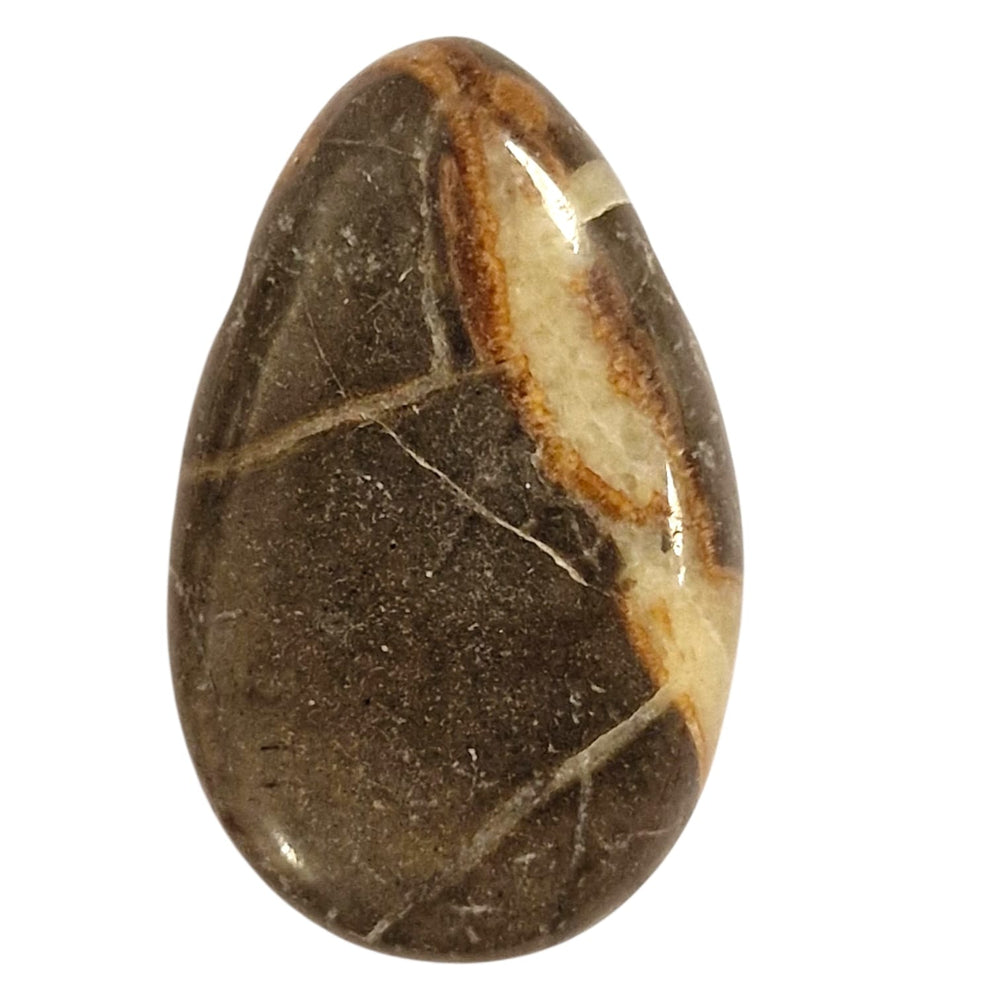 GeoFossils Polished Septarian – drilled crystal with calcite and aragonite for grounding energy