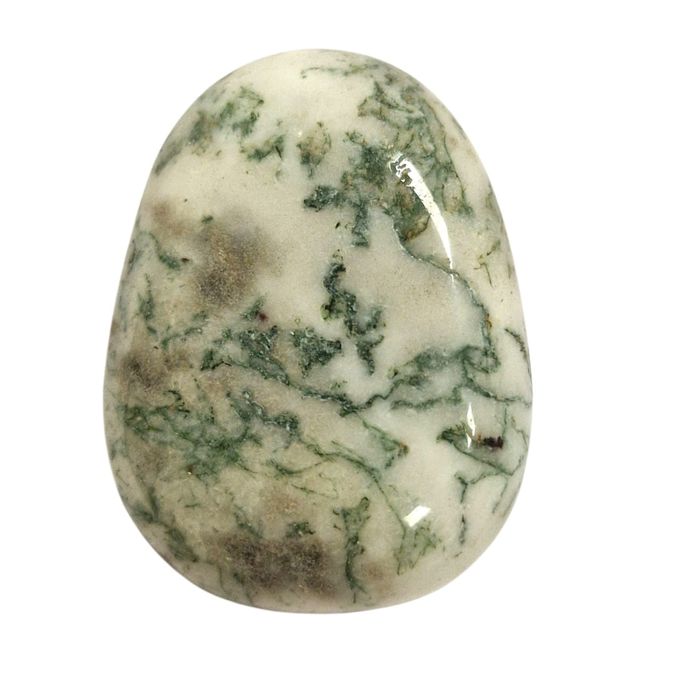 GeoFossils Drilled Tree Agate – natural dendritic agate crystal with calming energy.