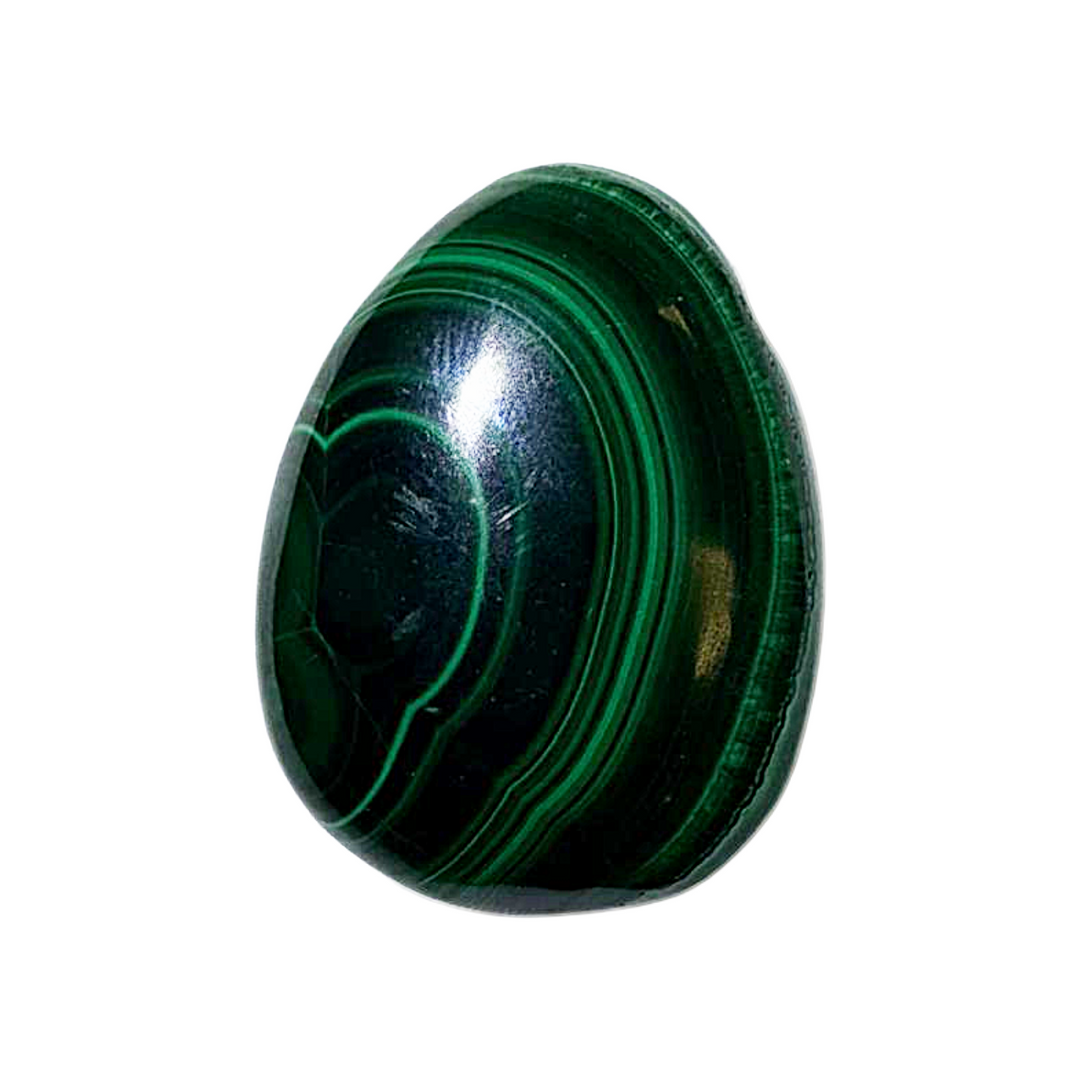 Side-drilled Malachite crystal with striking concentric layers, ethically sourced and hand-polished. This stone aids personal growth, protection from negative energy, and clarity in decision-making. Ready to wear or craft.