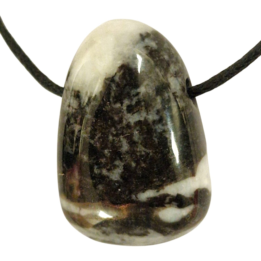 Zebra Jasper tumble stone pendant featuring bold black and white banding, shown on a black cotton cord