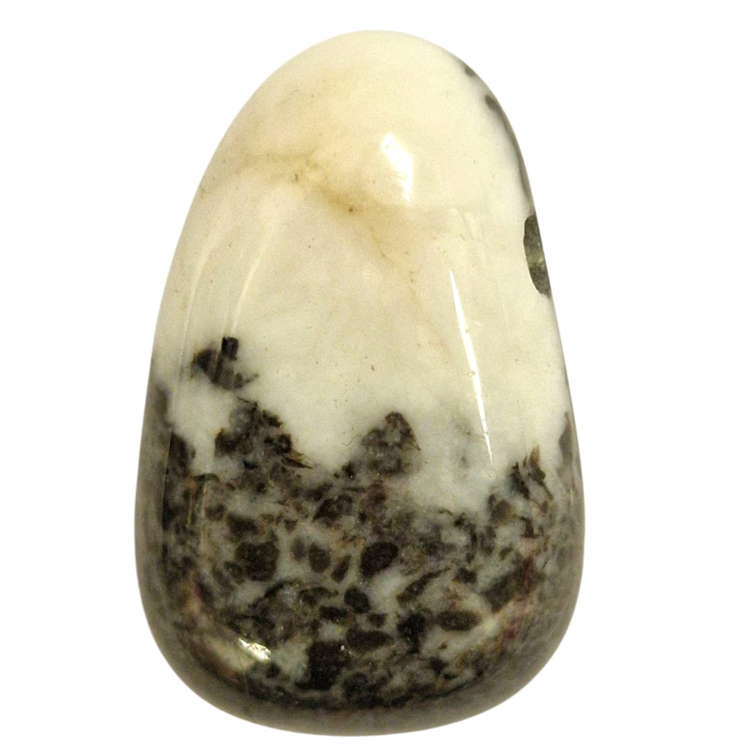 Polished Zebra Jasper drilled tumble stone with natural striped patterns in contrasting black and creamy white tones."