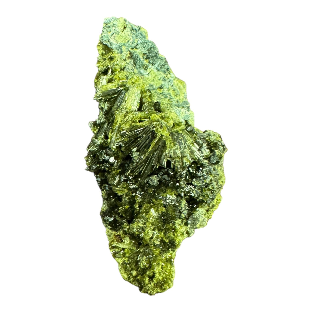 Epidote crystal specimen from Lleida, Spain – olive-green prismatic formation, ideal for mineral collectors and geology studies.