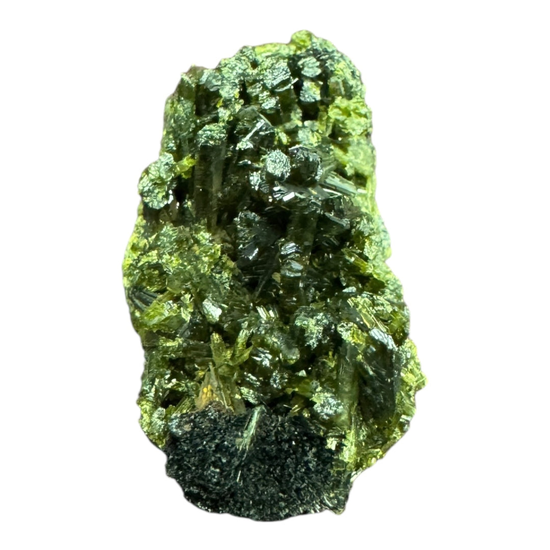 Epidote crystal specimen from Lleida, Spain – olive-green prismatic formation, ideal for mineral collectors and geology studies.