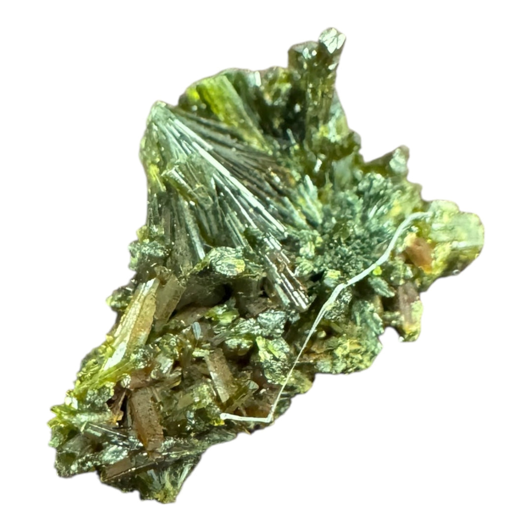Epidote crystal specimen from Lleida, Spain – olive-green prismatic formation, ideal for mineral collectors and geology studies.