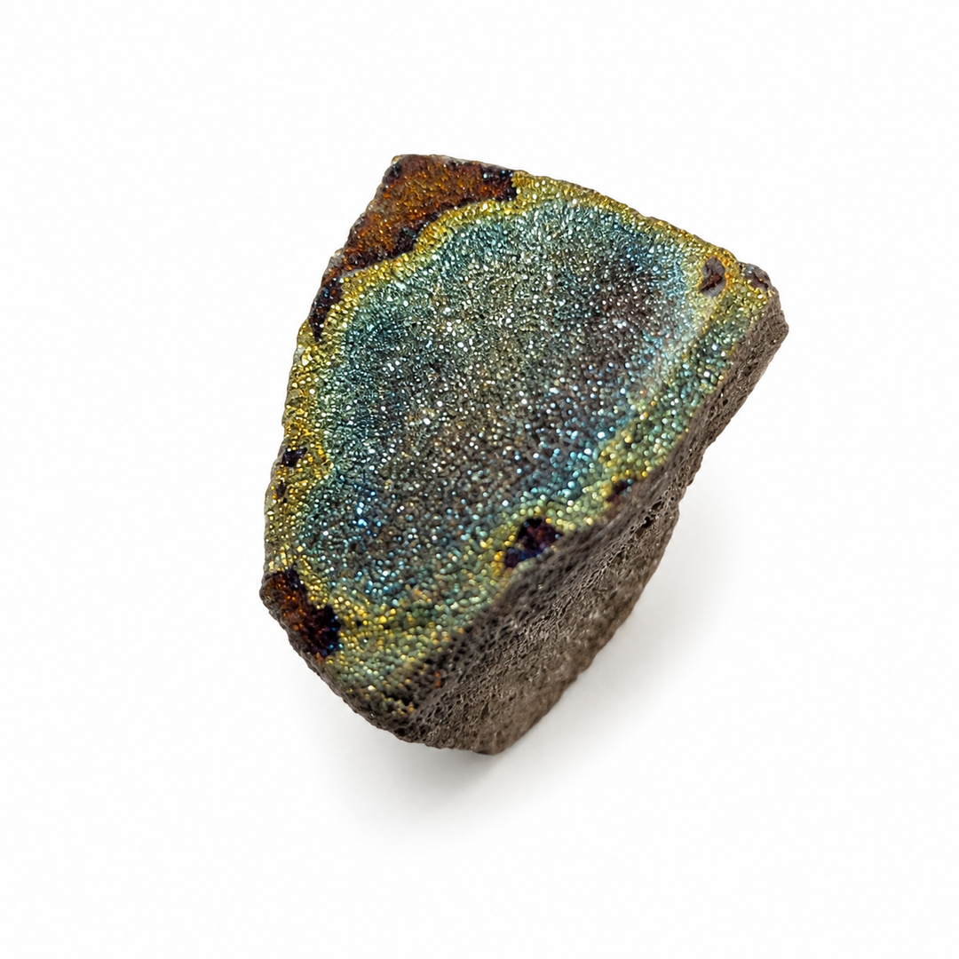 Pyritised fossil specimen with natural rainbow metallic lustre and ancient marine fossil structure from Russia.