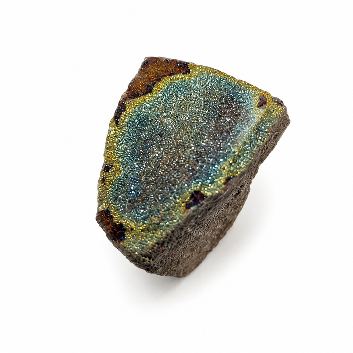 Pyritised fossil specimen with natural rainbow metallic lustre and ancient marine fossil structure from Russia.