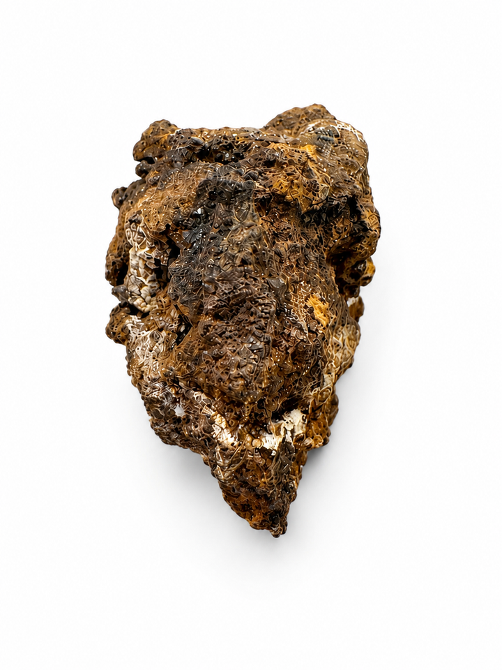 Iftiyssane Meteorite Specimen