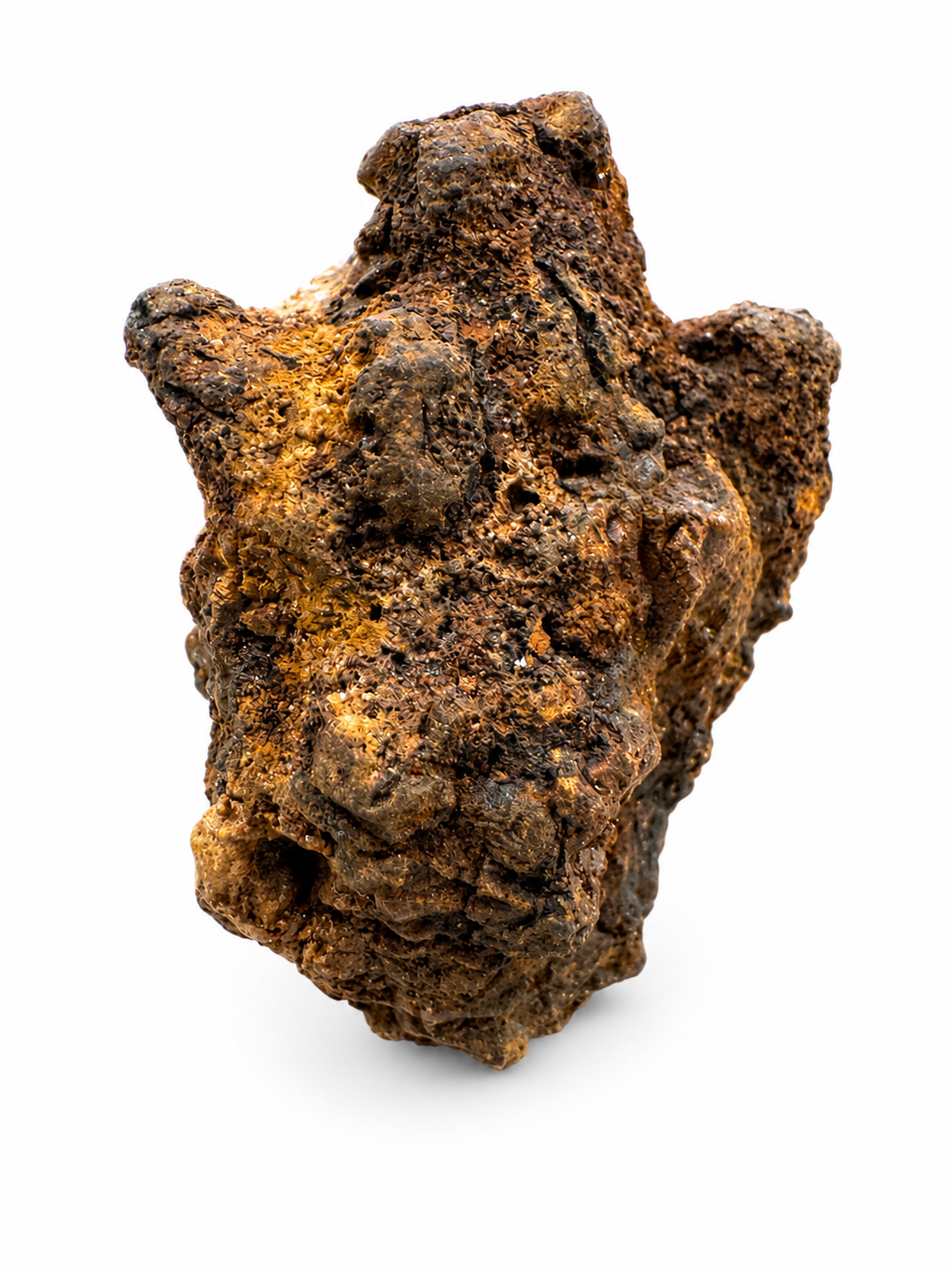 Iftiyssane Meteorite Specimen
