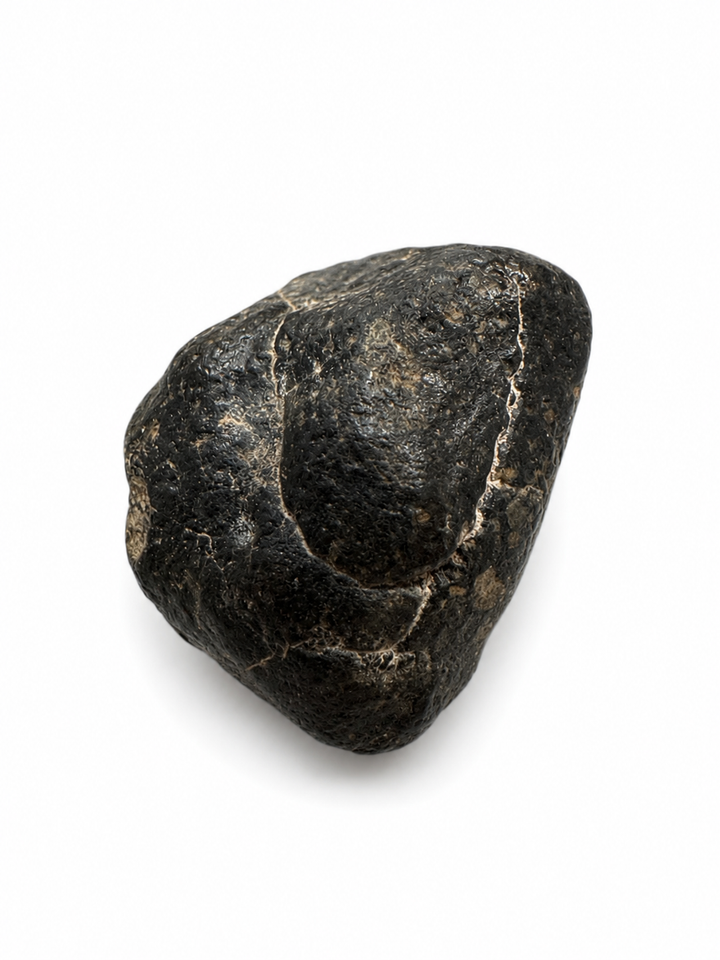 Natural NWA 8639 stony meteorite specimen on a white background showing its weathered exterior and geological characteristics.