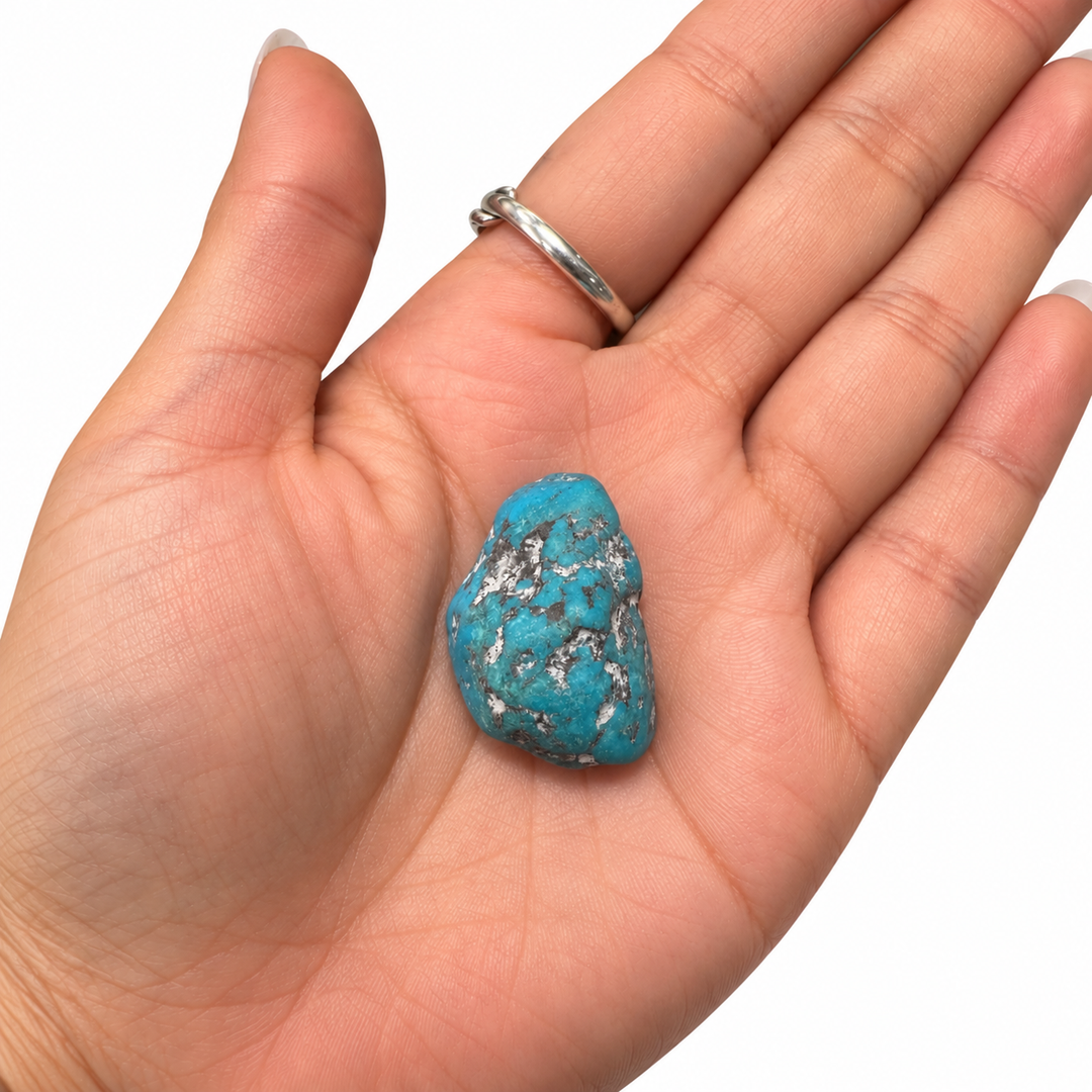 GeoFossils Kingman Mine Turquoise drilled tumblestone resting in the palm of a hand, showing its compact size, polished blue surface and contrasting matrix.