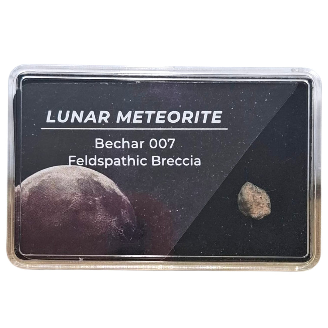 GeoFossils Bechar 007 Lunar Meteorite – Feldspathic Breccia Fragment from the Moon in Display Box
