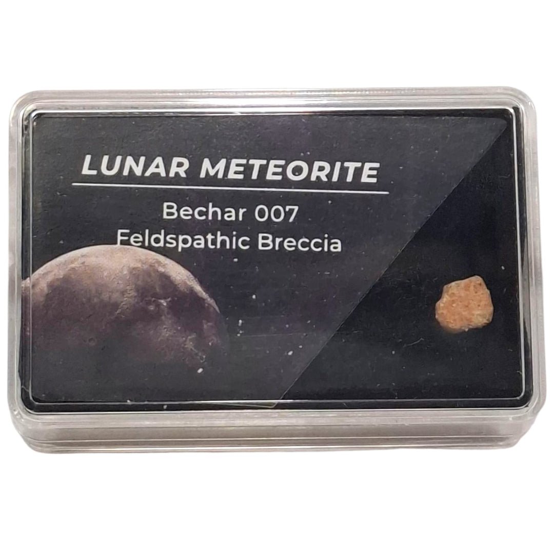 GeoFossils Bechar 007 Lunar Meteorite – Feldspathic Breccia Fragment from the Moon in Display Box