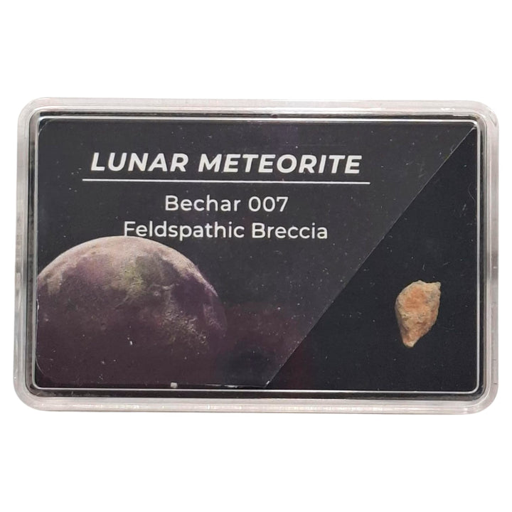 Lunar Meteorite – Bechar 007 Feldspathic Breccia from the Moon