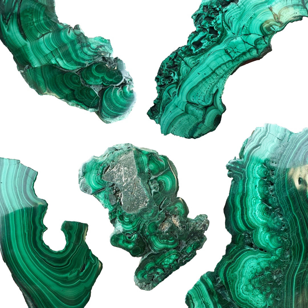 Natural polished Malachite slice displaying vivid green concentric banding and layered mineral formations
