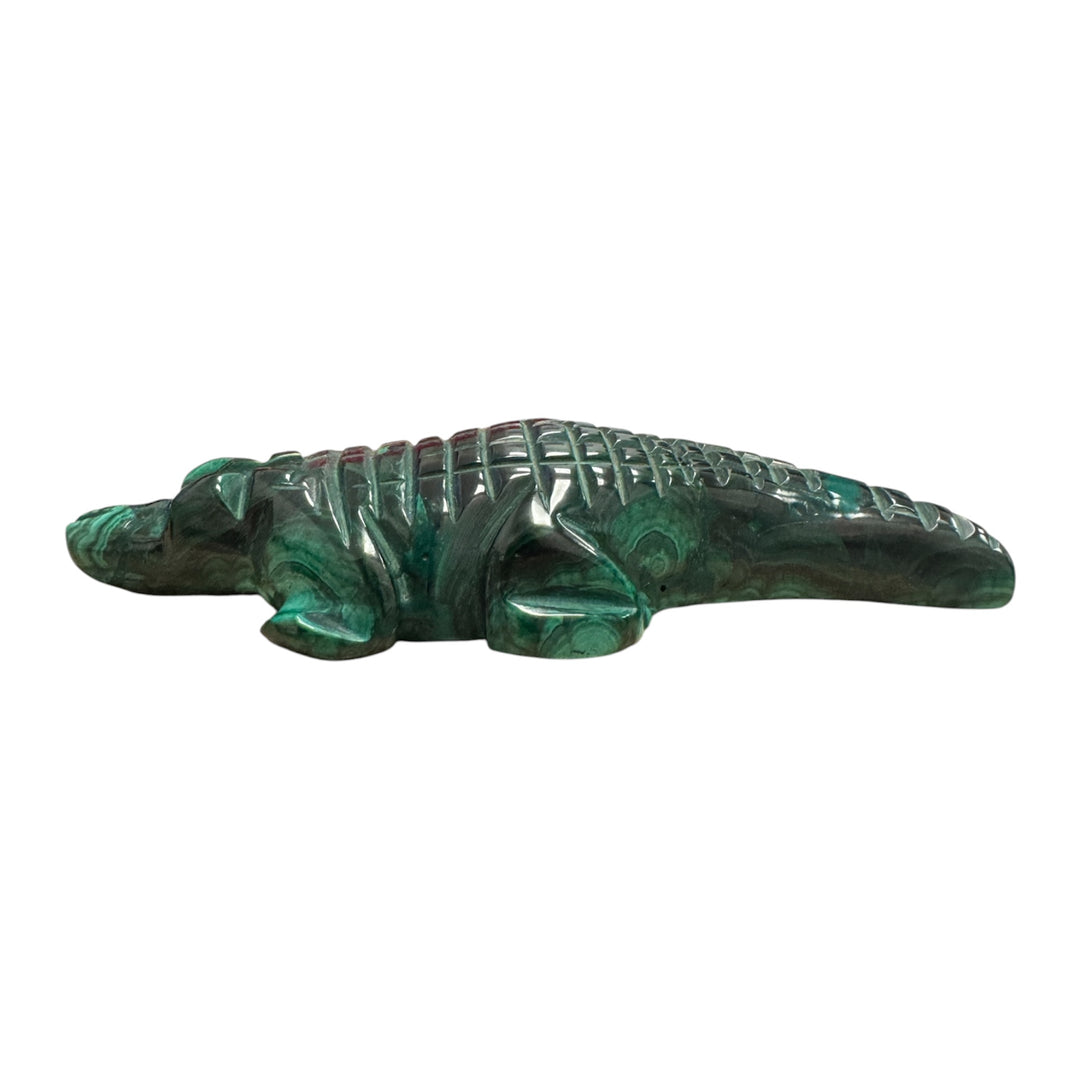 High polish Malachite crocodile carving for crystal and mineral collections
