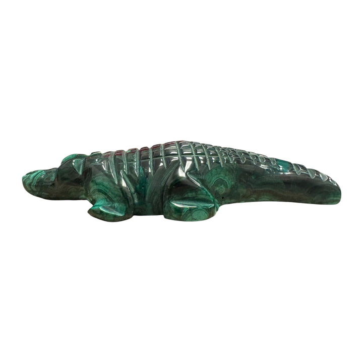High polish Malachite crocodile carving for crystal and mineral collections
