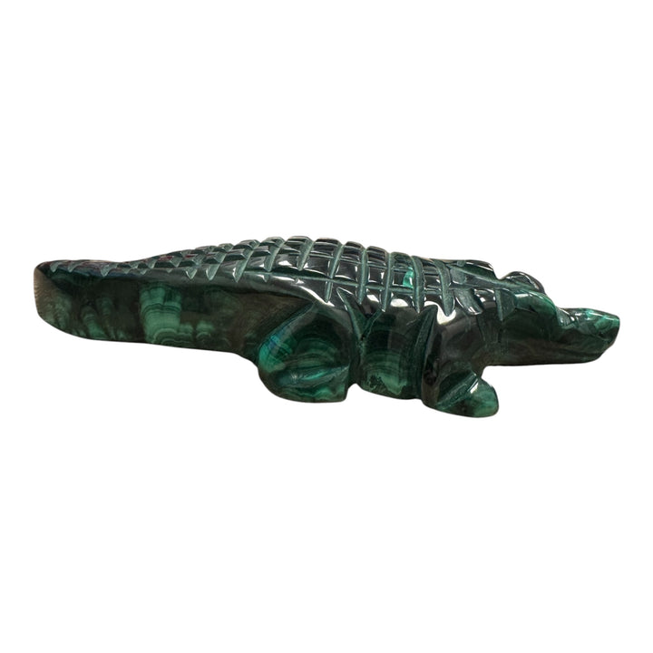 High polish Malachite crocodile carving for crystal and mineral collections
