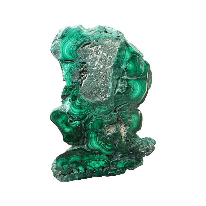 Unique natural Malachite slice featuring botryoidal formations and rich copper mineral banding.