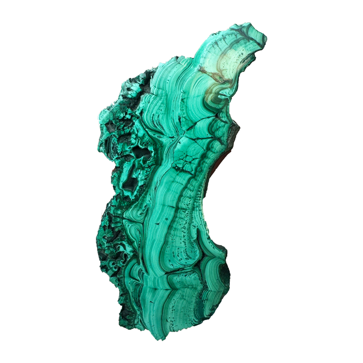 Polished Malachite slice displaying vivid natural green banding, concentric patterns, and raw textured edges from the Democratic Republic of Congo. Unique freeform mineral specimen with striking layered formations and rich copper-green colouration.