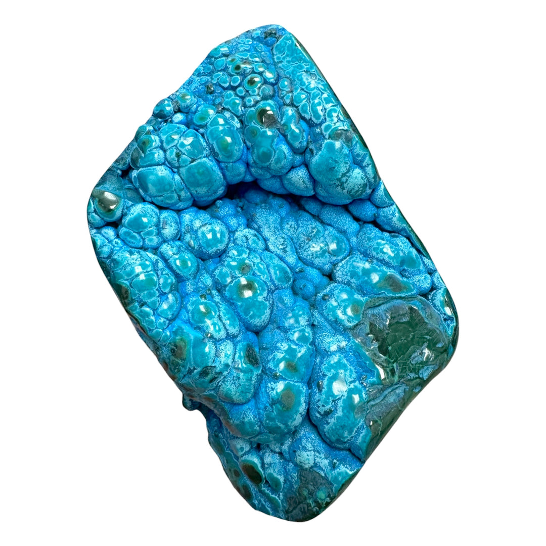 Collector-grade Malachite, Chrysocolla, and Plancheite mineral displaying glossy orbicular textures and flowing blue-green mineral banding.