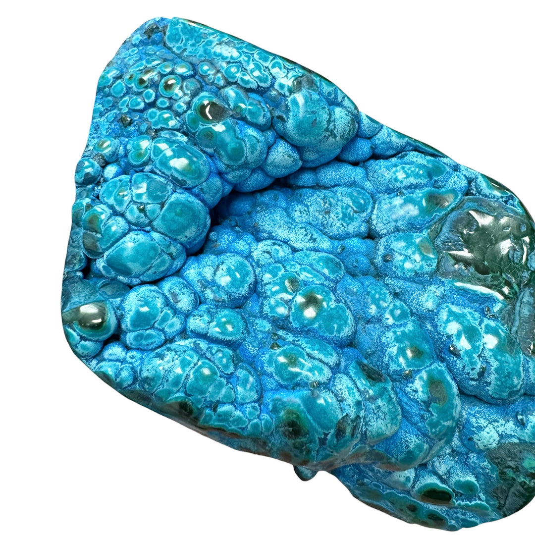Luxury Congo freeform crystal with vibrant electric-blue Chrysocolla formations and rich green Malachite patterns