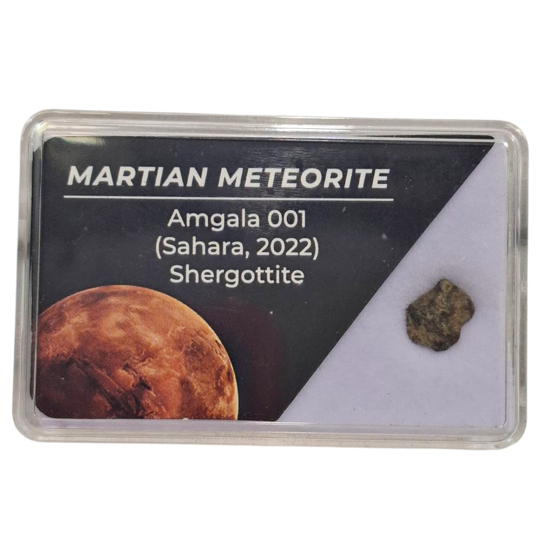 GeoFossils Martian Meteorite – Amalga 001 Shergottite Fragment from Mars in Display Box