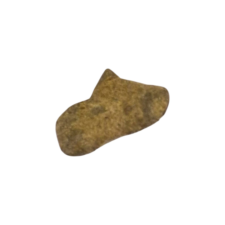 Martian Meteorite Amgala 001, Sahara 2022, Shergottite, Mars meteorite, certified specimen, fusion crust, IMCA certified, GMA, The Meteoritical Society