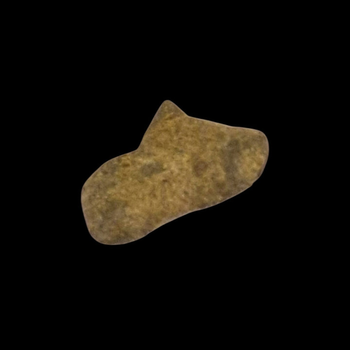 Martian Meteorite Amgala 001, Sahara 2022, Shergottite, Mars meteorite, certified specimen, fusion crust, IMCA certified, GMA, The Meteoritical Society