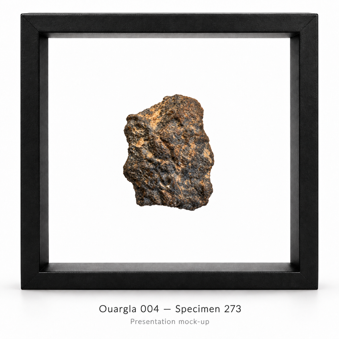 GeoFossils Ouargla 004 lunar meteorite specimen 273, showing its dark, textured surface and tan markings, presented in a black floating display frame.