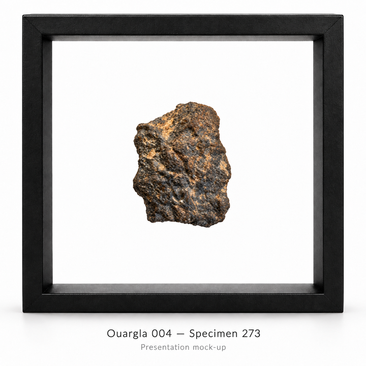 GeoFossils Ouargla 004 lunar meteorite specimen 273, showing its dark, textured surface and tan markings, presented in a black floating display frame.