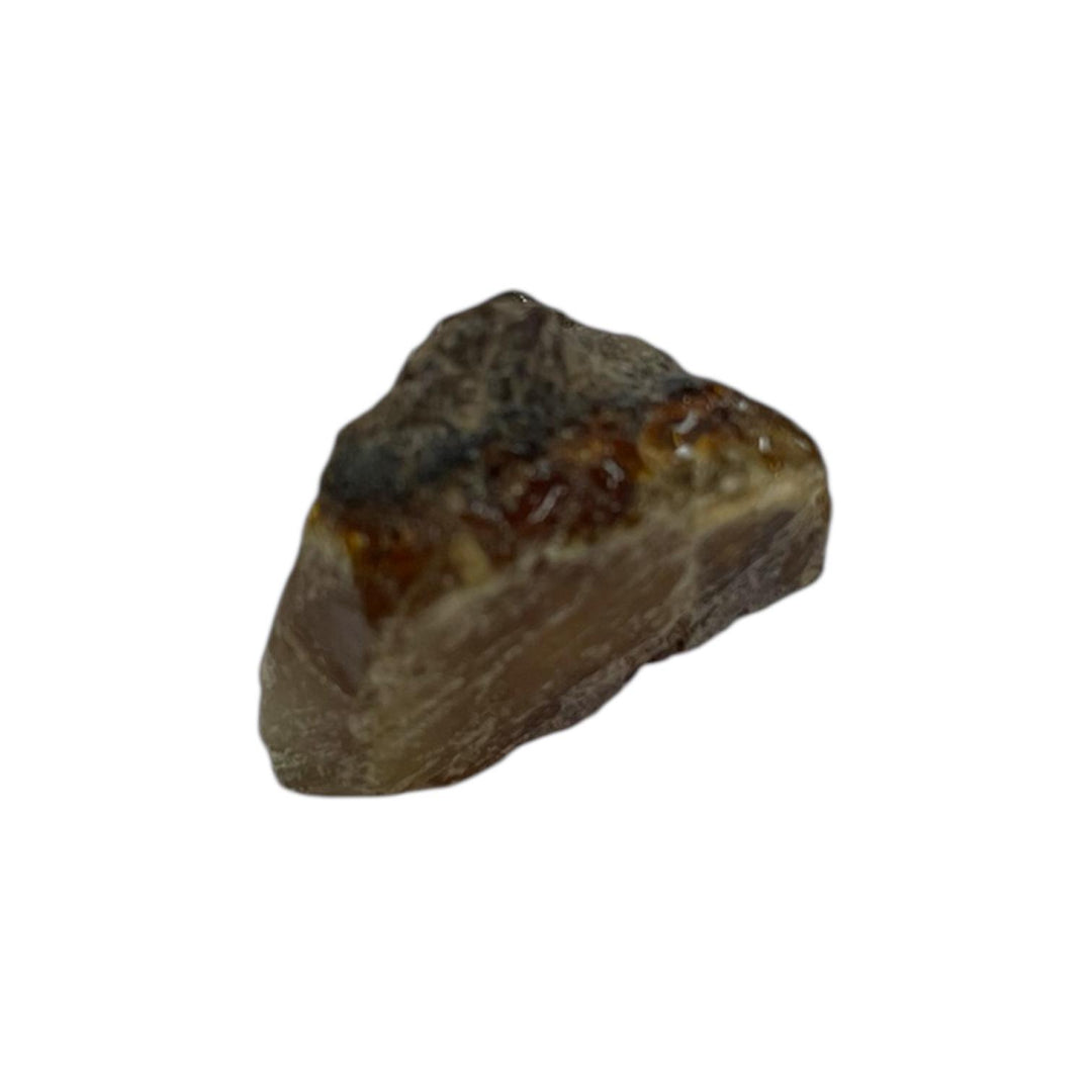 GeoFossils Warm golden Amber mineral with natural inclusions, known for soothing energy, emotional healing, and protection in holistic crystal therapy.